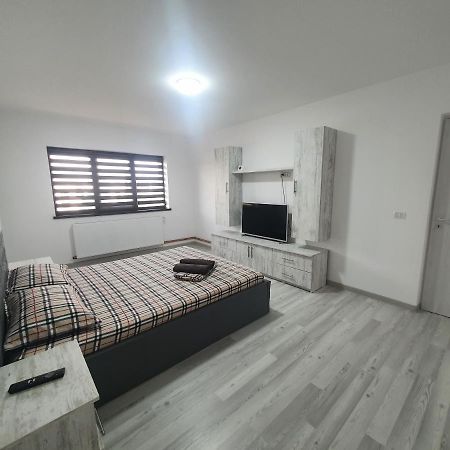 Apartament Nicole Curtea de Argeş Zewnętrze zdjęcie