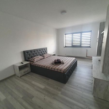 Apartament Nicole Curtea de Argeş Zewnętrze zdjęcie