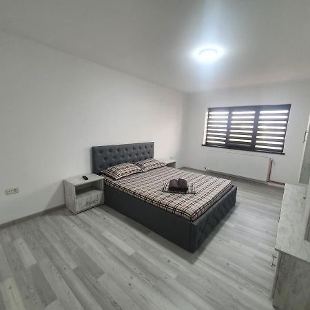 Apartament Nicole Curtea de Argeş Zewnętrze zdjęcie