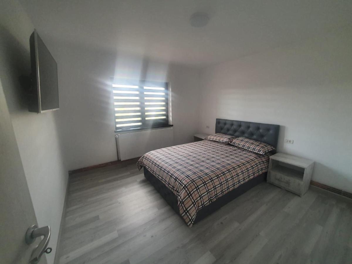 Apartament Nicole Curtea de Argeş Zewnętrze zdjęcie