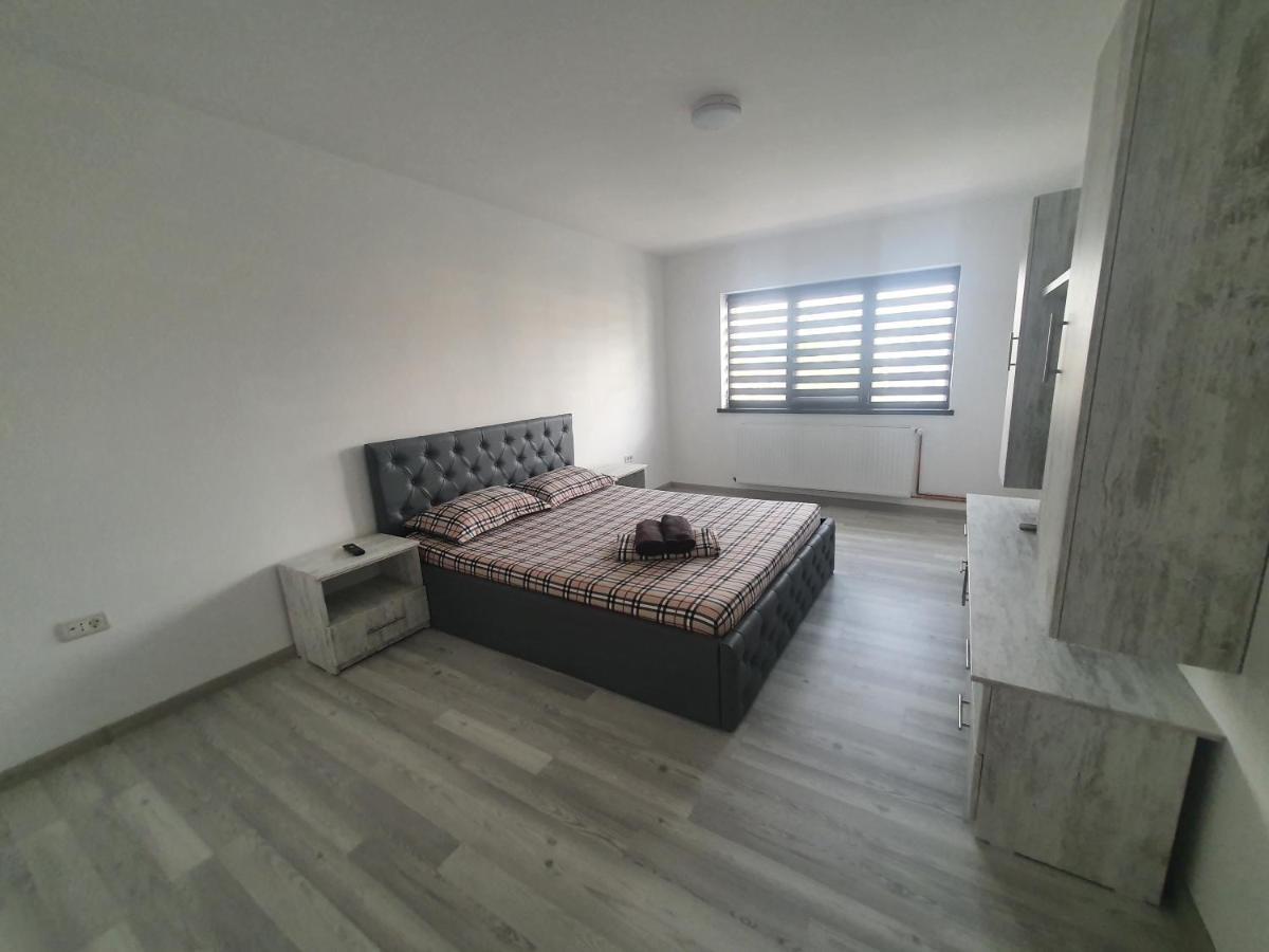 Apartament Nicole Curtea de Argeş Zewnętrze zdjęcie