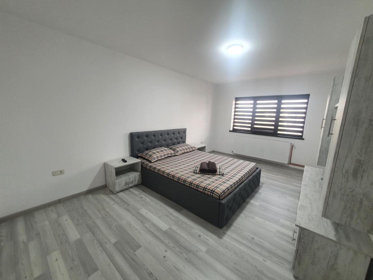Apartament Nicole Curtea de Argeş Zewnętrze zdjęcie